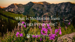 what is meditation from the yoga perspective