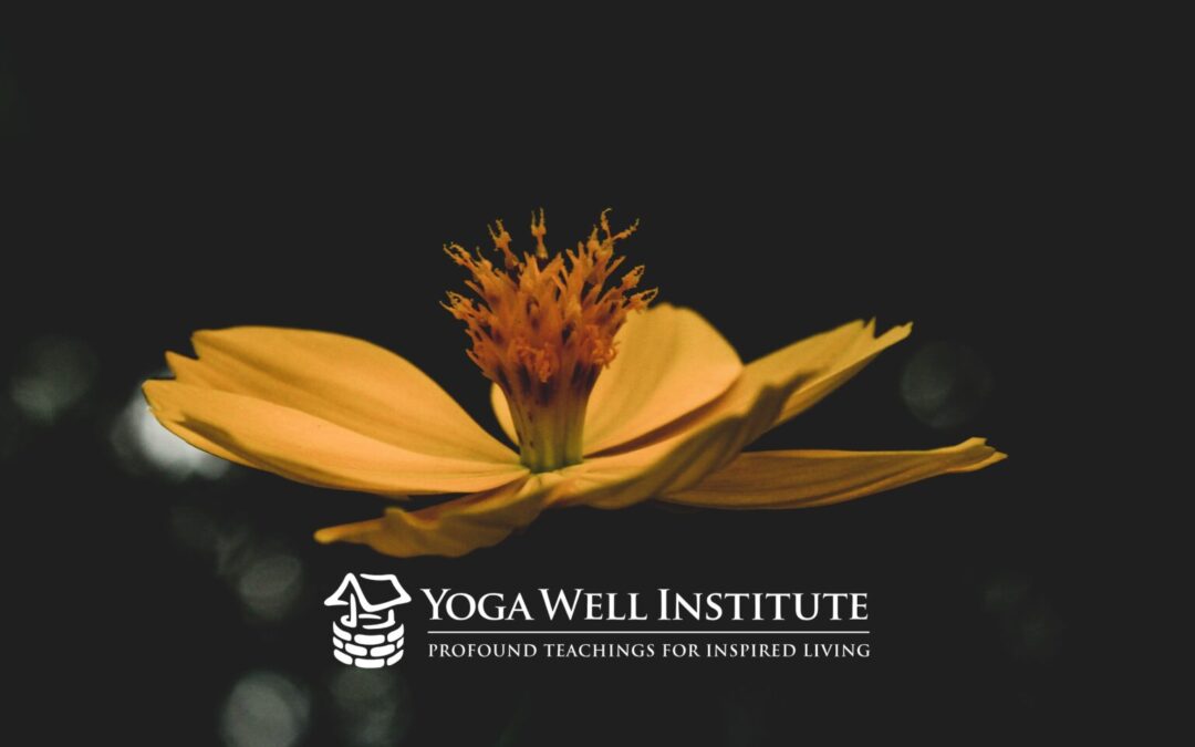 Yoga Well Institute