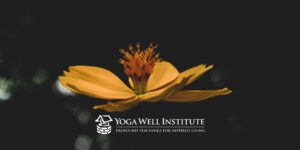 Yoga Well Institute
