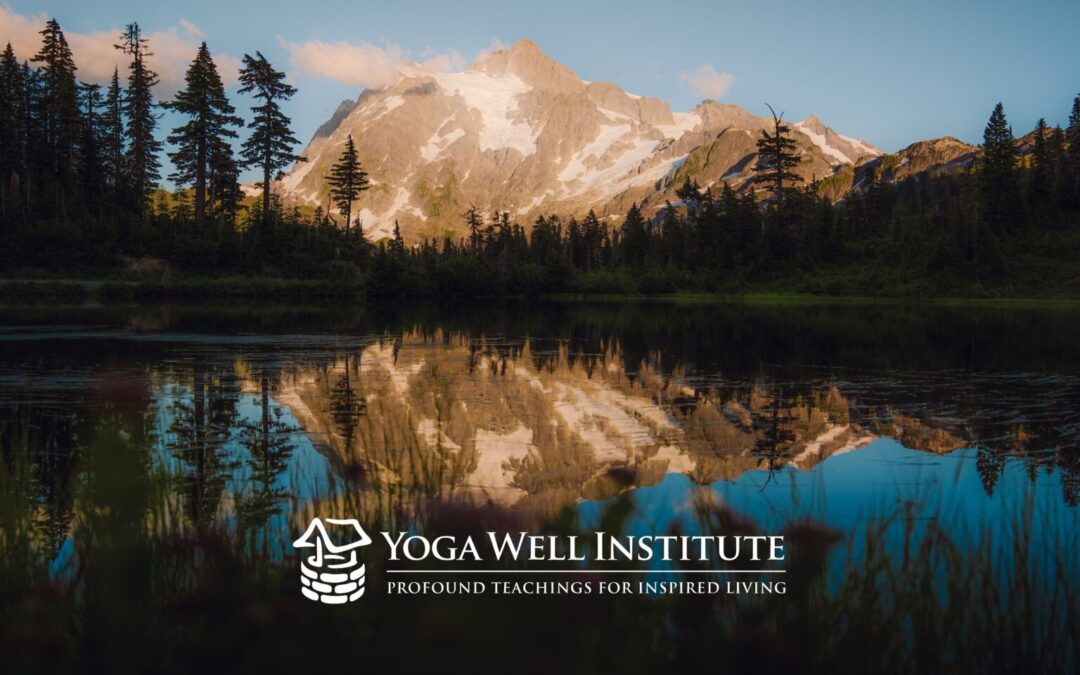 Yoga Well Institute