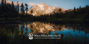 Yoga Well Institute