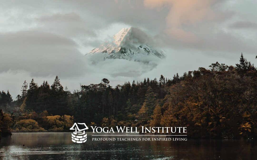 Yoga Well Institute