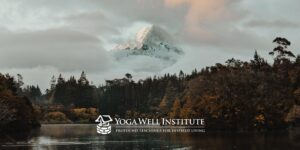 Yoga Well Institute