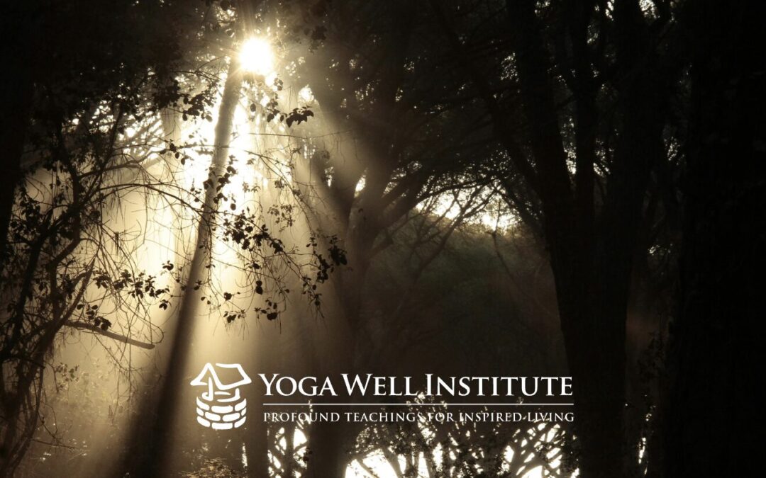 Yoga Well Institute Blog