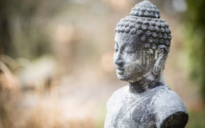 Why You Should Read the Yogasūtras
