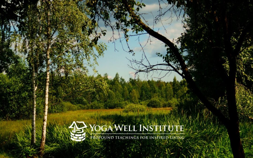 Yoga Well Institute