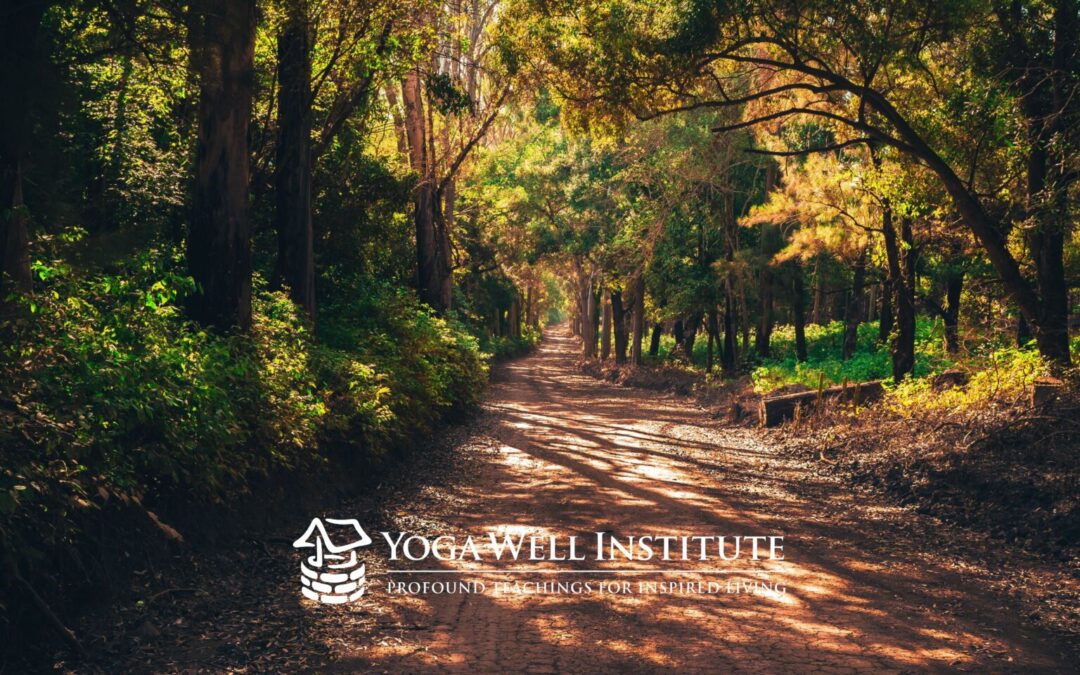 Yoga Well Institute