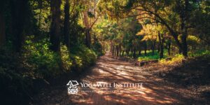 Yoga Well Institute