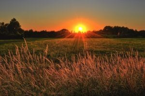 Yoga Sutras chapter 4