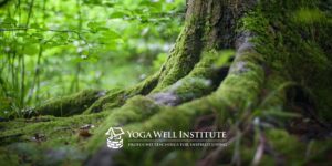 Yoga Well Institute_Yoga Well_Viniyoga_Yoga Therapy