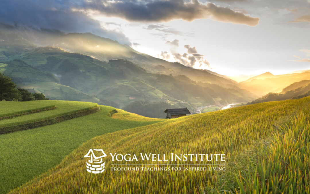 How to Choose A Yoga Therapist Training Program