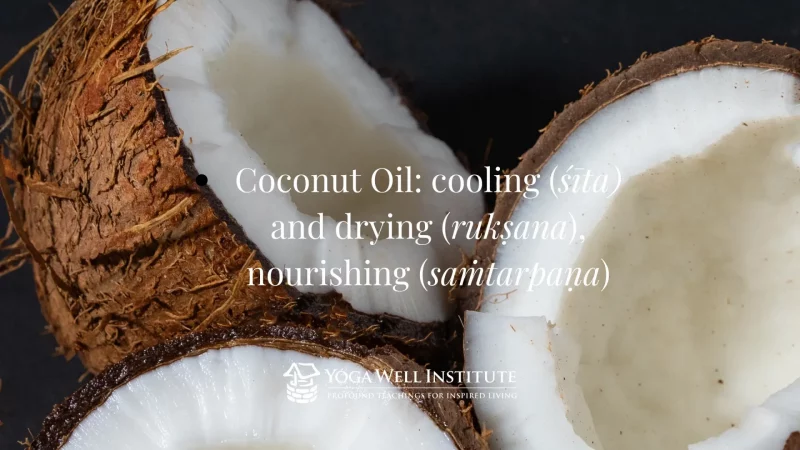 Coconut Oil: cooling (sita) and drying (ruksana), nourishing (samtarhana).
