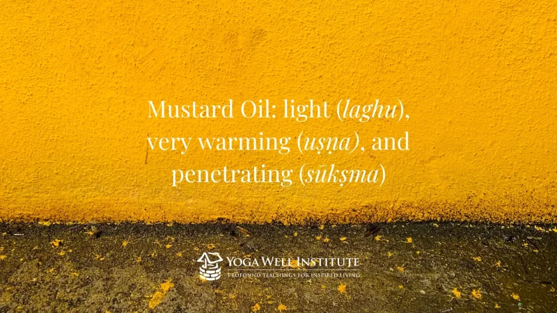Mustard Oil: light (laghu), very warming (usna), and penetrating (suksma).