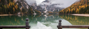 [W22 WS1] Curriculum header