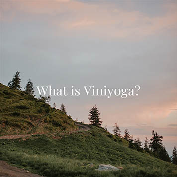 What is viniyoga