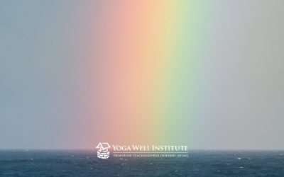 Recovering from Burnout as a Yoga Teacher