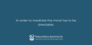 Yoga Well Institute meditation