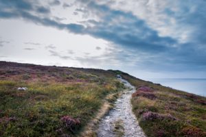 How to Follow Your Intuition