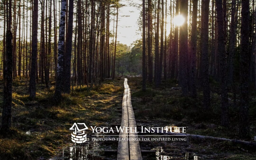 Yoga Well Institute