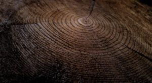 Background banner wood texture