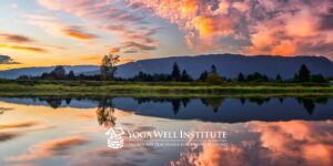 Yoga Well Institute_Viniyoga_Yoga Therapy