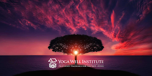 Yoga Well Institute Philosophy Classes Blend Indiana Jones with Genealogy