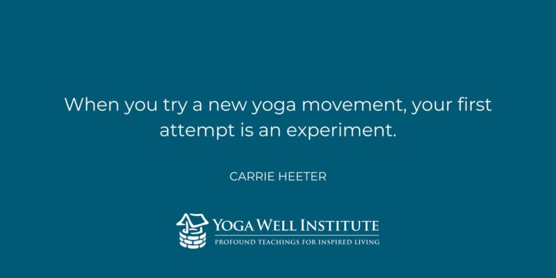 Yoga Well Institute_Carrie Heeter Quote_Yoga Experiment