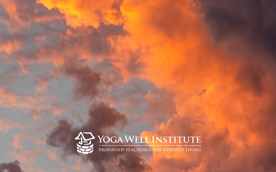 Yoga Well Institute