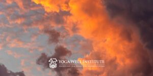 Yoga Well Institute