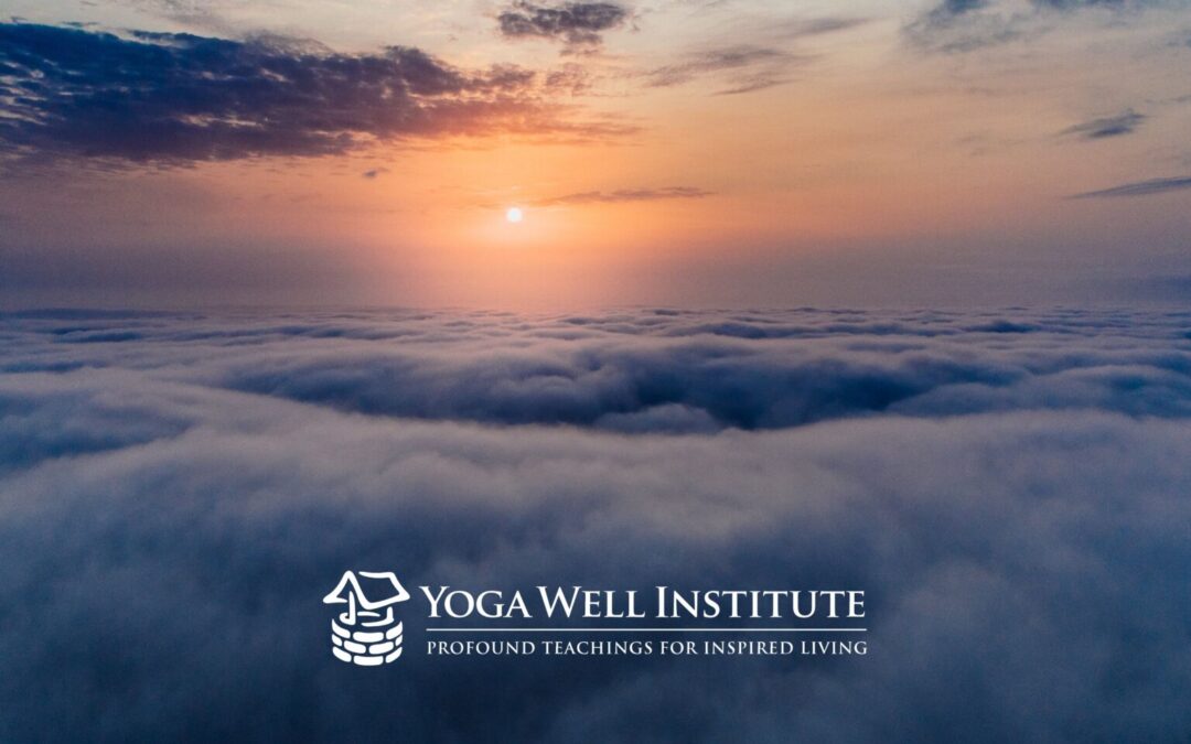 Yoga Well Institute Blog